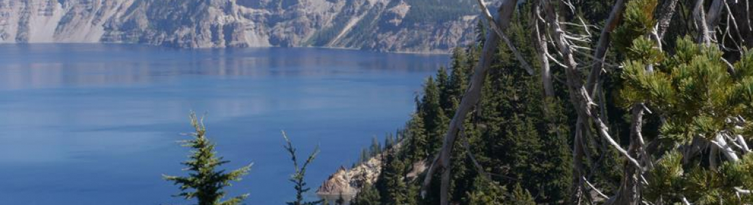 Dual Diagnosis Treatment Lake Forest